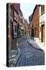 Half-Timbered Houses, Quedlinburg, UNESCO World Heritage Site, Harz, Saxony-Anhalt, Germany, Europe-G & M Therin-Weise-Premier Image Canvas