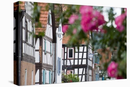 Half-Timbered in Castle Ronne, Vogelsberg, Hessen, Germany-Ernst Wrba-Premier Image Canvas