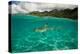 Half Water Half Land, Shark in the Pacific Ocean, Moorea, Tahiti, French Polynesia-null-Premier Image Canvas