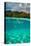 Half Water Half Land, Sharks and Fish Swimming in the Pacific Ocean-null-Premier Image Canvas