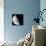 Half Way To The Moon-Marcus Prime-Premier Image Canvas displayed on a wall