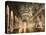 Hall of Mirrors Versailles-Mindy Sommers-Premier Image Canvas