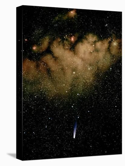 Halley's Comet-Detlev Van Ravenswaay-Premier Image Canvas