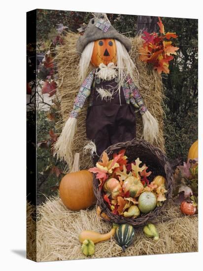 Halloween Decoration, Hill Country, Texas, USA-Rolf Nussbaumer-Premier Image Canvas