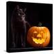 Halloween Pumpkin and Black Cat Scary Spooky and Creepy Horror Holiday Superstition Evil Animal And-kikkerdirk-Premier Image Canvas