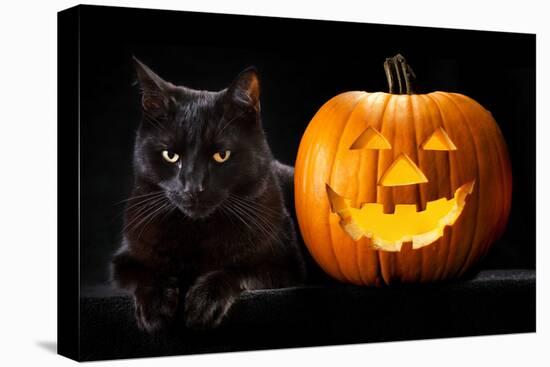 Halloween Pumpkin and Black Cat Scary Spooky and Creepy Horror Holiday Superstition Evil Animal And-kikkerdirk-Premier Image Canvas