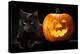 Halloween Pumpkin and Black Cat Scary Spooky and Creepy Horror Holiday Superstition Evil Animal And-kikkerdirk-Premier Image Canvas