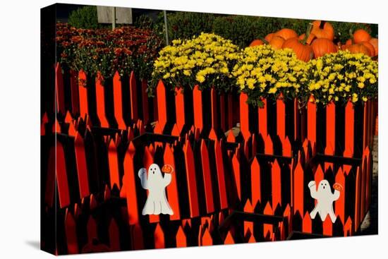 Halloween-Anthony Butera-Premier Image Canvas