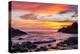 Halona Cove Sunrise-Island Leigh-Premier Image Canvas