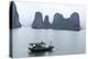 Halong (Ha Long) Bay, UNESCO World Heritage Site, Vietnam, Indochina, Southeast Asia, Asia-Bruno Morandi-Premier Image Canvas