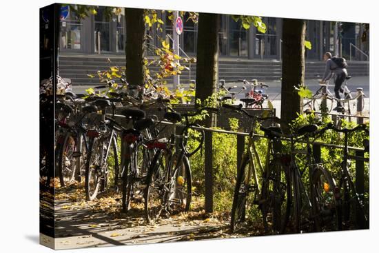 Hamburg, Fair Halls, Bicycles-Catharina Lux-Premier Image Canvas