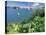 Hamilton Harbor with Greenery-Robin Hill-Premier Image Canvas
