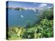 Hamilton Harbor with Greenery-Robin Hill-Premier Image Canvas