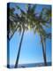 Hammock Between Palm Trees on Beach, Bali, Indonesia, Southeast Asia, Asia-Sakis Papadopoulos-Premier Image Canvas