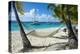 Hammock hanging on famous White Bay, Jost Van Dyke, British Virgin Islands, West Indies, Caribbean,-Michael Runkel-Premier Image Canvas