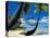 Hammock Hanging Seaside-Randy Faris-Premier Image Canvas