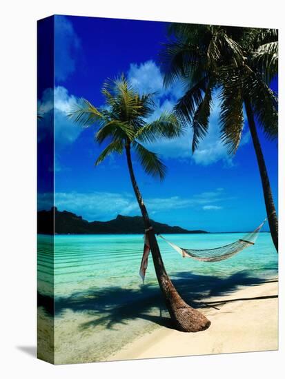 Hammock Hanging Seaside-Randy Faris-Premier Image Canvas