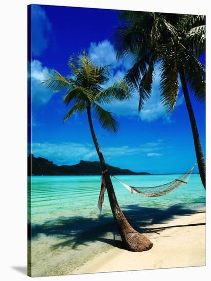 Hammock Hanging Seaside-Randy Faris-Premier Image Canvas