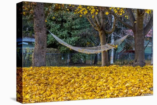 Hammock Looking Inviting in a Leaf Strewn Yard in Whitefish, Montana-Chuck Haney-Premier Image Canvas