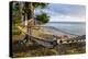 Hammock on a Beach in Ha'Apai Islands, Tonga, South Pacific-Michael Runkel-Premier Image Canvas