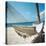 Hammock on a Beach-null-Premier Image Canvas