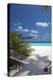 Hammock on Tropical Beach, Maldives, Indian Ocean, Asia-Sakis Papadopoulos-Premier Image Canvas
