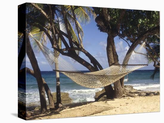 Hammock Tied Between Trees, North Shore Beach, St Croix, US Virgin Islands-Alison Jones-Premier Image Canvas