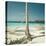 Hammocks Tied to a Palm Tree-null-Premier Image Canvas