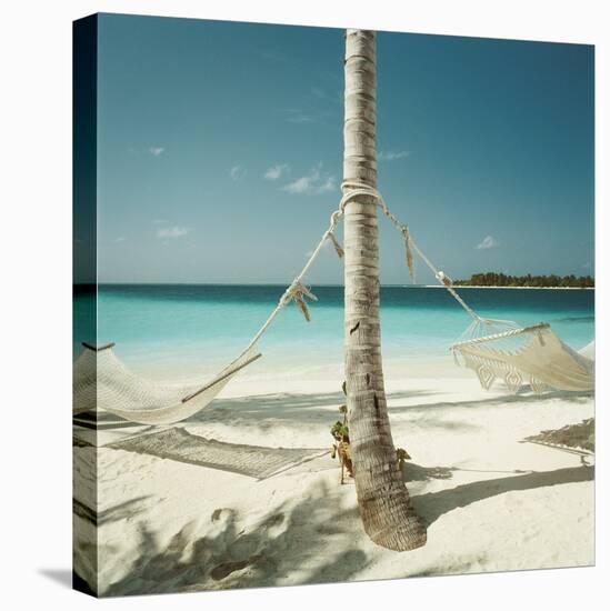 Hammocks Tied to a Palm Tree-null-Premier Image Canvas