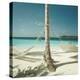 Hammocks Tied to a Palm Tree-null-Premier Image Canvas