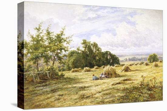 Hampshire Cornfield-Henry Parker-Premier Image Canvas