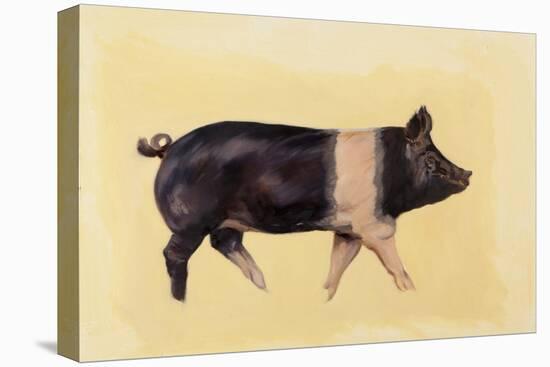 Hampshire pig, 2016-Francesca Sanders-Premier Image Canvas