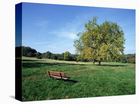 Hampstead Heath, London, England, United Kingdom-Ethel Davies-Premier Image Canvas