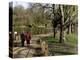 Hampstead Ponds, Hampstead Heath, London, England, United Kingdom-David Hughes-Premier Image Canvas