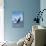 Hampton Beach, New Hampshire - Humback Whale-Lantern Press-Stretched Canvas displayed on a wall