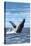 Hampton Beach, New Hampshire - Humback Whale-Lantern Press-Stretched Canvas
