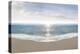 Hamptons III-James McLoughlin-Stretched Canvas