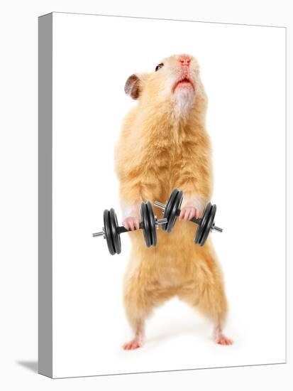 Hamster With Bar Isolated On White-IgorKovalchuk-Premier Image Canvas