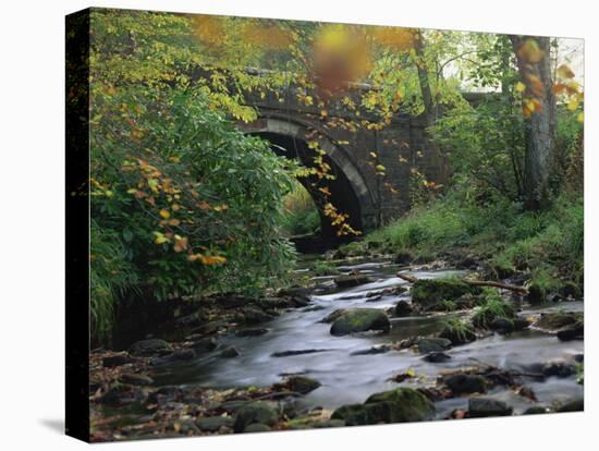 Hamsterley Forest, County Durham, England, United Kingdom, Europe-Mawson Mark-Premier Image Canvas