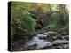 Hamsterley Forest, County Durham, England, United Kingdom, Europe-Mawson Mark-Premier Image Canvas