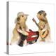 Hamsters Playing Musical Instruments-null-Premier Image Canvas