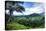 Hanalei Valley-Danny Head-Premier Image Canvas