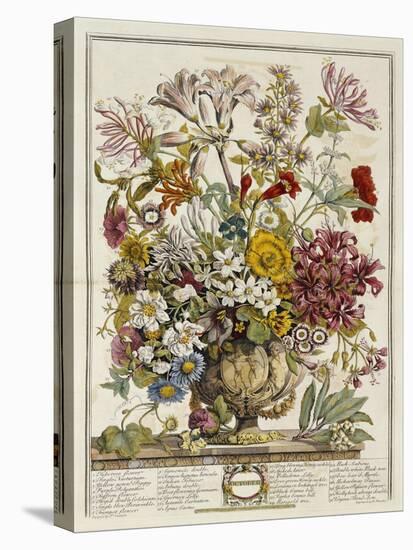 Hand Colored Engraving of Bouquet- October, 1730-Robert Furber-Premier Image Canvas