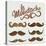 Hand Drawn Brown Mustache Set-Melindula-Stretched Canvas