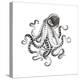 Hand-Drawn Illustration Octopus, Vector Isolate on White Background.-Nikiparonak-Stretched Canvas