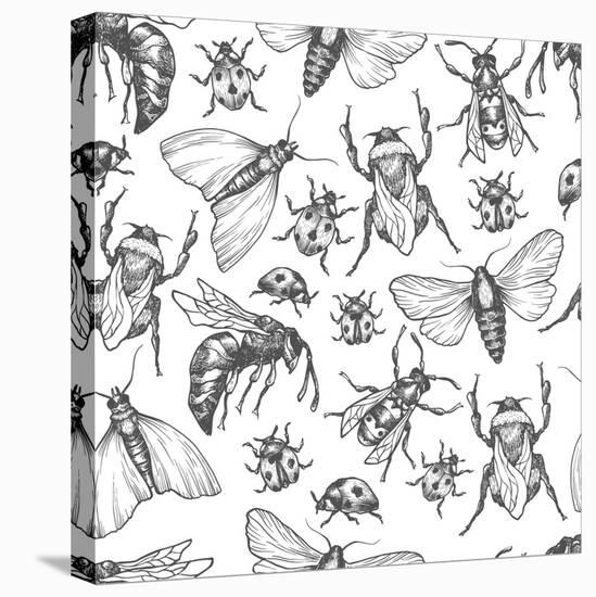 Hand Drawn Vector Pattern with Insects in Different Poses. Moth, Butterfly, Bee, Bumblebee, Ladybug-Olga Olmix-Stretched Canvas