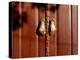 Hand shaped handles in brown door, Spain-Panoramic Images-Premier Image Canvas