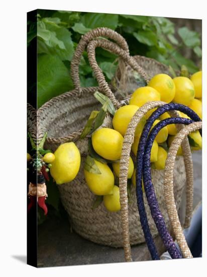 Handbag with Lemons, Positano, Amalfi Coast, Campania, Italy-Walter Bibikow-Premier Image Canvas