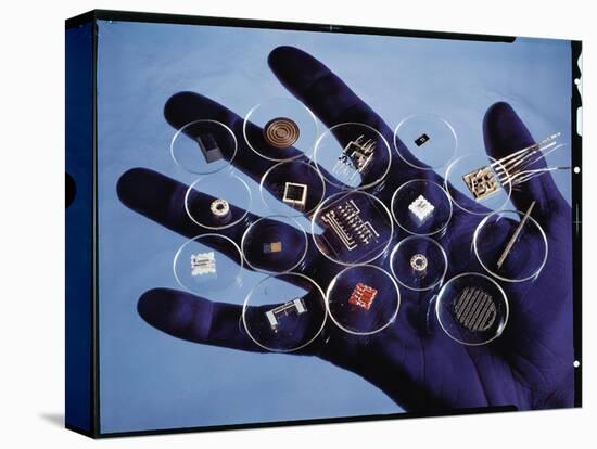 Handful of Microelectronic Parts-Fritz Goro-Premier Image Canvas
