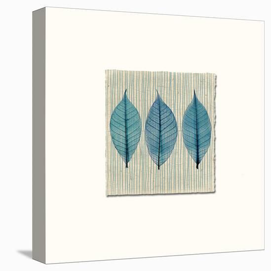 Handmade Paper and Leaves-Evangeline Taylor-Stretched Canvas